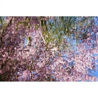Posteranzi dpi1830394large proljetni cvjetovi koji se odražavaju u jezero za postera Print Craig Tuttle,