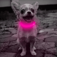 LED ovratnik za pse, super svijetle višebojne ovratnike, otporan na vremenske uvjete ogrlicu za pse