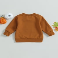 Jesenja dječja dječaka Dječaci Dukseri T majice Pismo Pumpkin Print Dugi rukav pulover vrhove