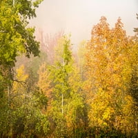 -New Hampshire-Fall lišće sjeverno od Whitefield-Duž RT plakata Print - Allison Jones