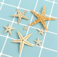 Handeo Bo Starfish Natural Mješovita Realistična realistična bijela zvijezda morska školjka za zabavu