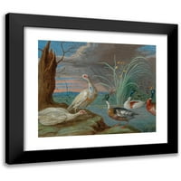 Jan van Kessel The Stariji crni moderni uokvireni muzej umjetnički print pod nazivom - patke i druge