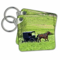 3droza Amish Farm s konjima Buggy u blizini Berlina, Ohio - US DFR - David R. Frazier - Ključni lanci,